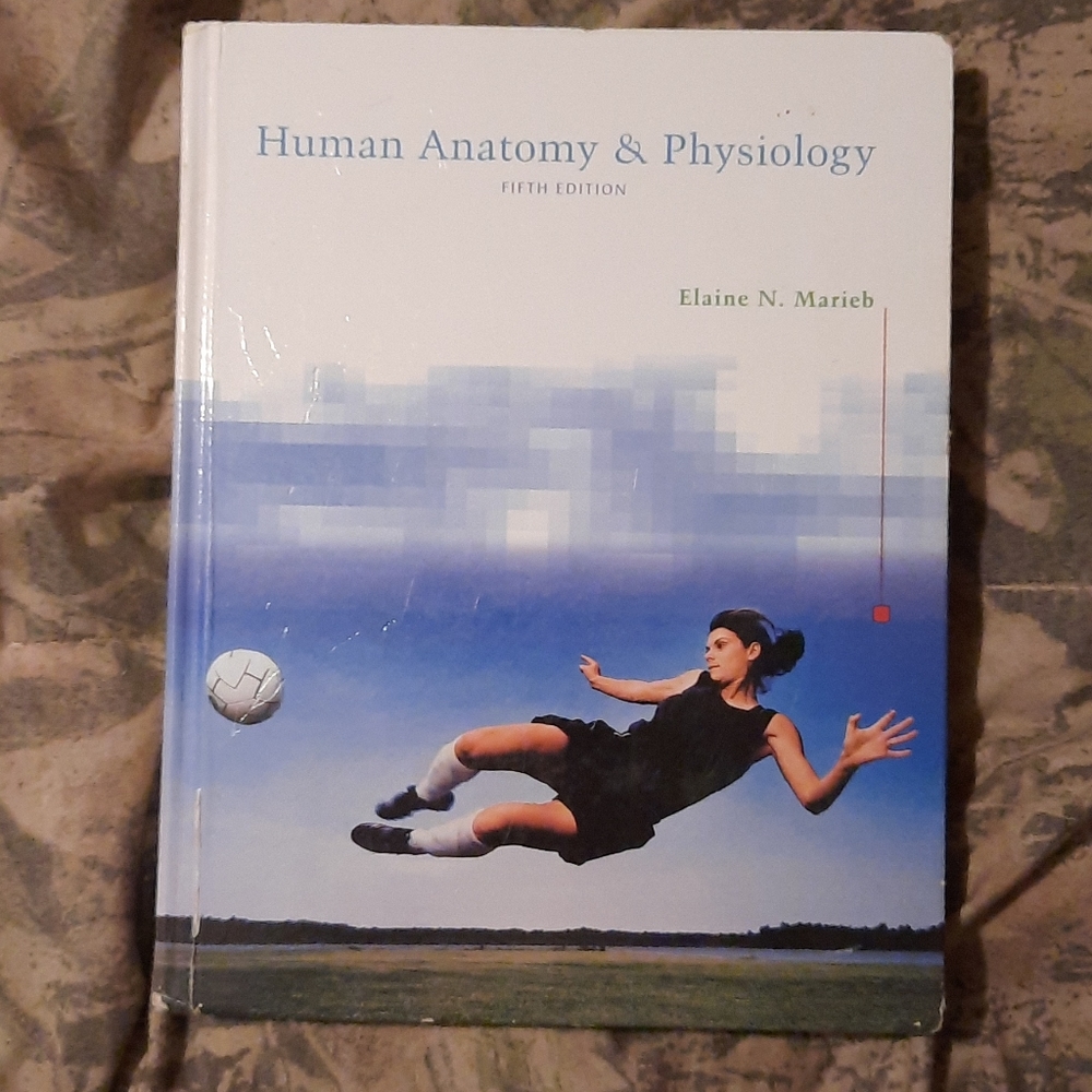 Human Anatomy & Physiology (H15)